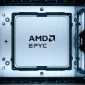 AMD-EPYC-9006-02